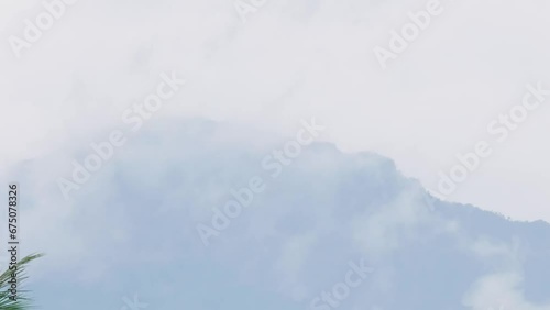 Zooming out to slowly reveal a misty mountain that is almost covered in fog, and showing the tip of the coconut leaves on the left side of the frame in a Thai countryside. photo