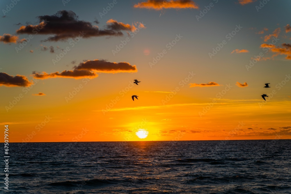 Group of birds soaring against the backdrop of a stunning sunset over a tranquil body of water. Group of birds soaring against the backdrop of a stunning sunset over a tranquil body of water.