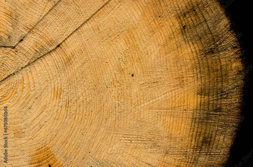 Fototapeta premium Close-up shot of a fantastically beautiful old piece of wood, sawn with care