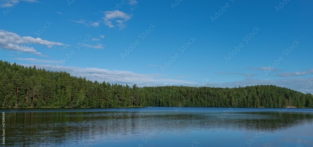 Beautiful view of a calm lake surrounded by green trees