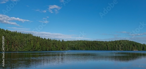 Beautiful view of a calm lake surrounded by green trees