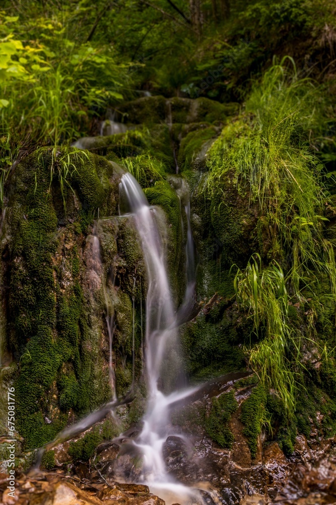 Small waterfall cascading down into a tranquil forest-like habitat