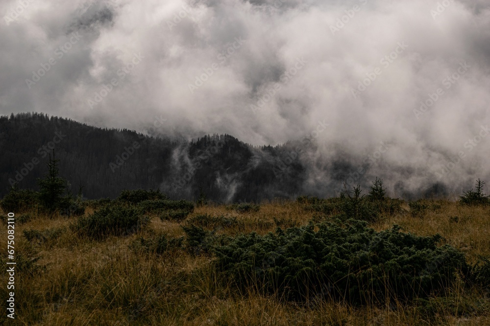 Grassy meadow and hills against the background of a cloudy sky. Grassy meadow and hills against the background of a cloudy sky.