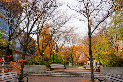 University of Pennsylvania Fall colorful foliage autumn landscape © Feng
