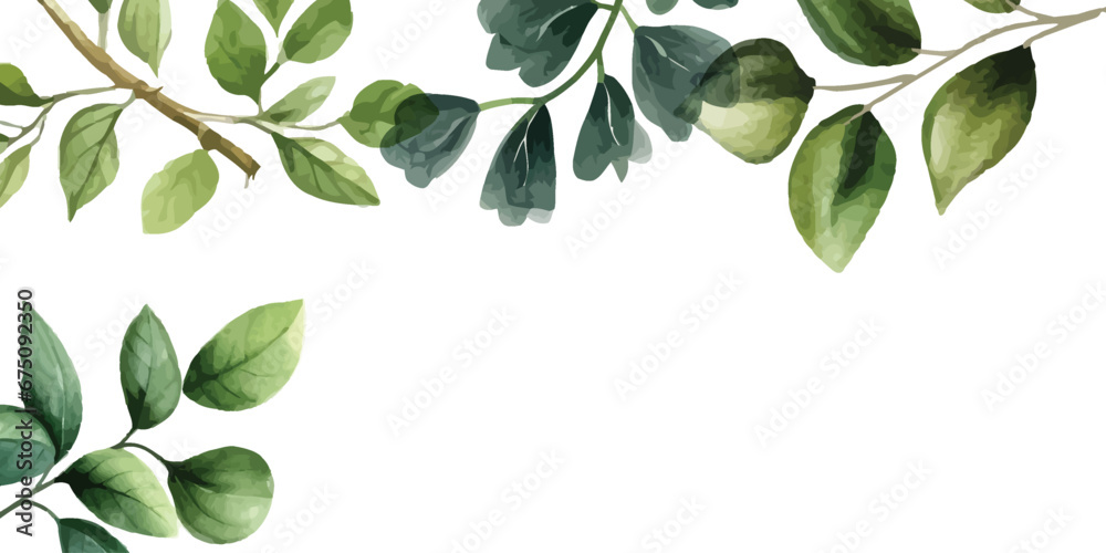 Presentation Background with tropical watercolor leaf plant on white background vector design. With copy space area. Presentation Background with tropical watercolor leaf plant on white background vector design. With copy space area.