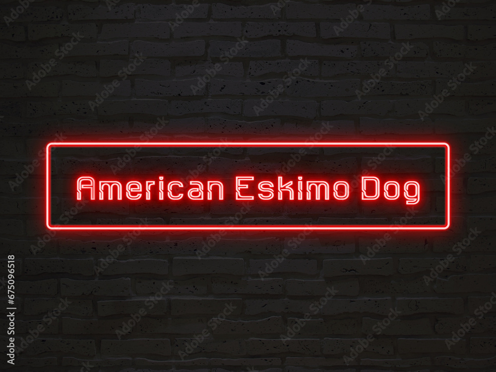 American Eskimo Dog のネオン文字