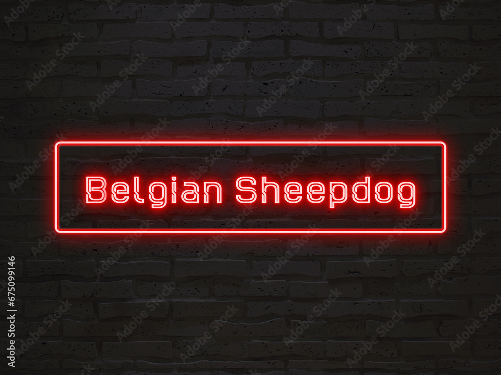 Belgian Sheepdog のネオン文字