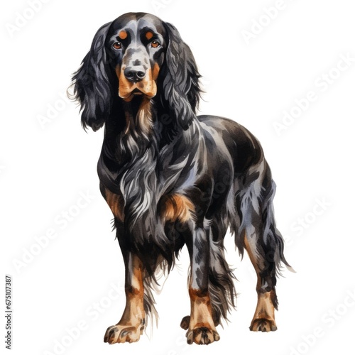 Gordon Setter dog breed watercolor illustration. Cute pet drawing isolated on white background.