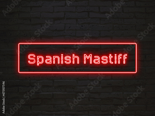 Spanish Mastiff のネオン文字