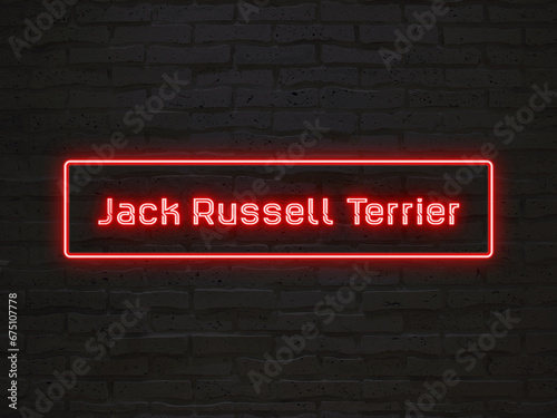 Jack Russell Terrier のネオン文字
