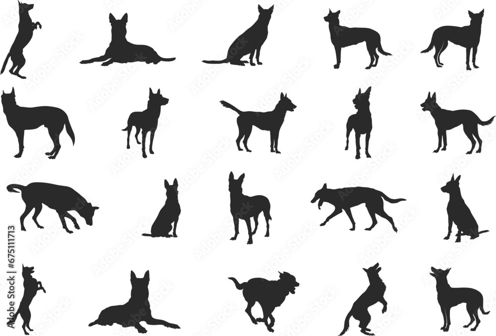 Belgian malinois silhouette, Belgian malinois dog silhouettes, Dog silhouettes, Dog icon, Belgian malinois clipart, Dog vector illustration. - obrazy, fototapety, plakaty 