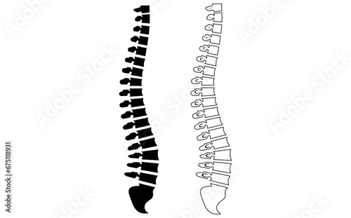 Human skeleton. Spine silhouette. Spine body bones - sacrum, vertebrae, coccyx, side view, flat black color. Anatomy vector illustration.