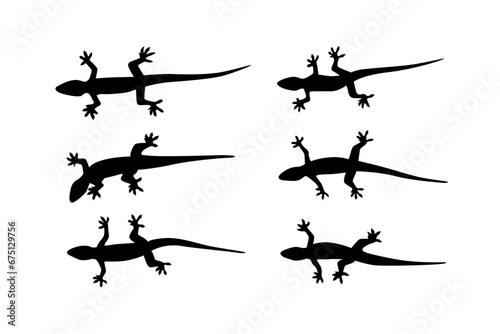 set of asian house lizard silhouette shape vector