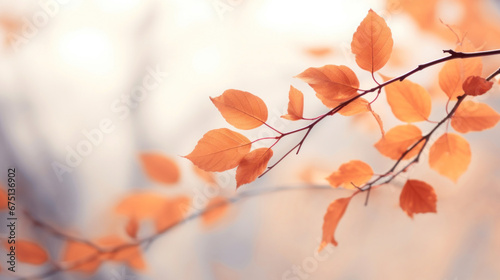 Autumn trees with leaves on light background