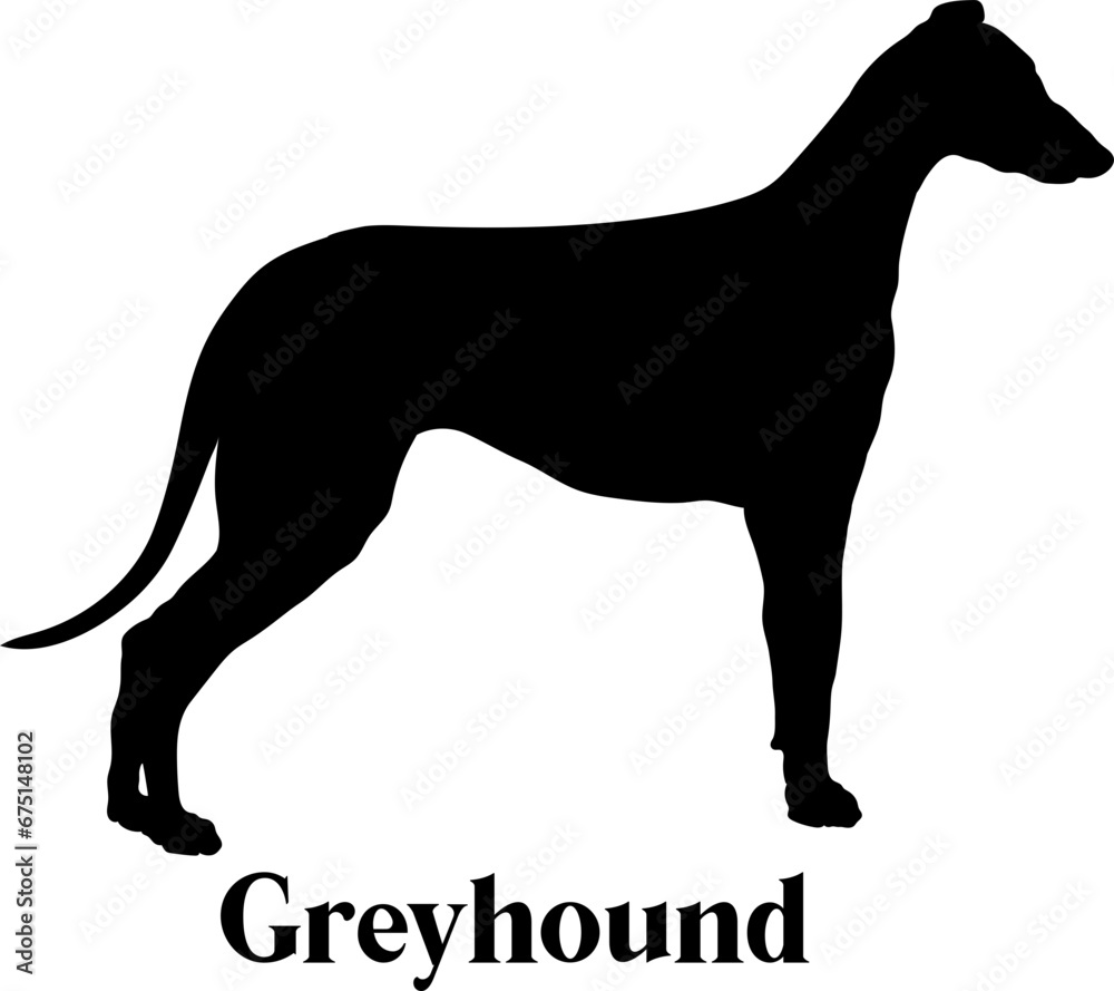 Greyhound Dog silhouette dog breeds logo dog monogram logo dog face vector
SVG PNG EPS