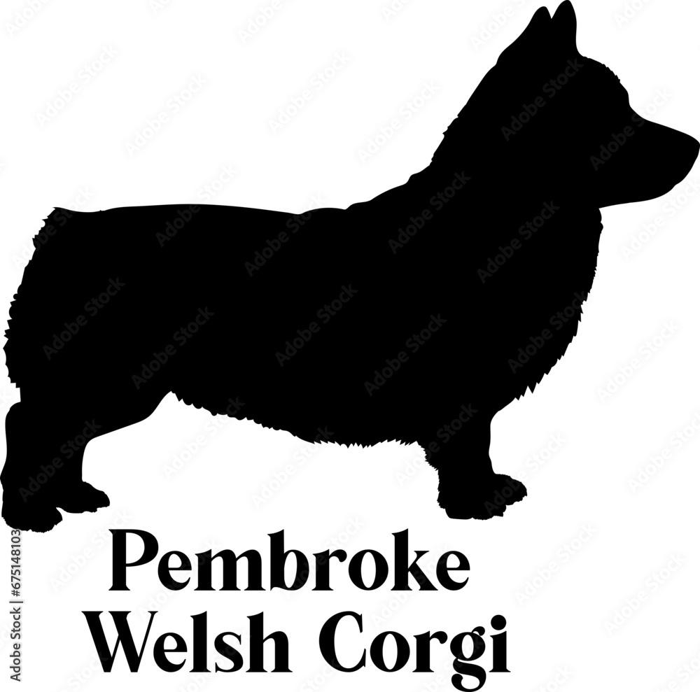 Pembroke Welsh Corgi. Dog silhouette dog breeds logo dog monogram logo dog face vector
SVG PNG EPS