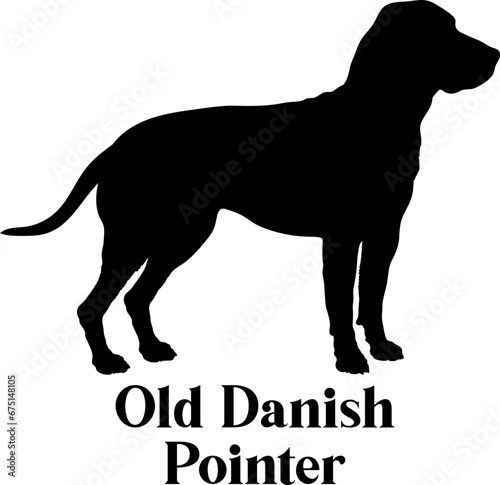 Old Danish Pointer Dog silhouette dog breeds logo dog monogram logo dog face vector SVG PNG EPS © Pony 3000