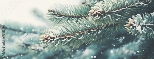 Christmas tree green branches background. Horizontal banner and web poster made of pine branches © megavectors