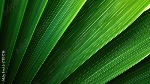 plant leaf macro background texture illustration abstract leaves  yellow garden  tropical wallpaper plant leaf macro background texture