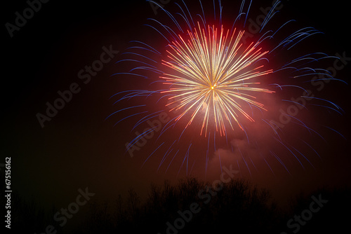 long exposure firework explosion over trees
