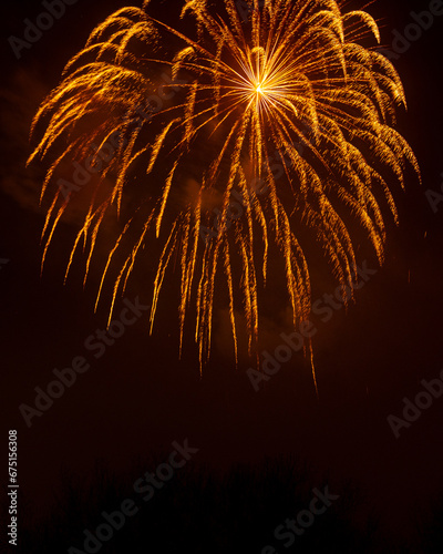Shower of golden fireworks over trees