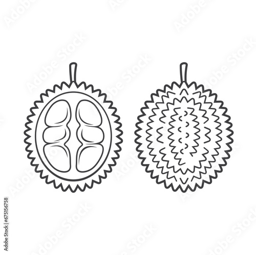 illustration of durian fruit, a tropical plant or fruit originating from Southeast Asia.