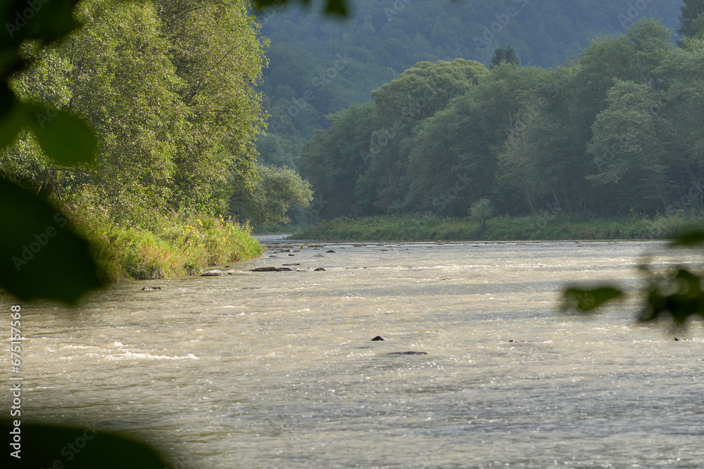 Φωτογραφία Beautiful landscape of a river in the middle of the forest with rocks and trees