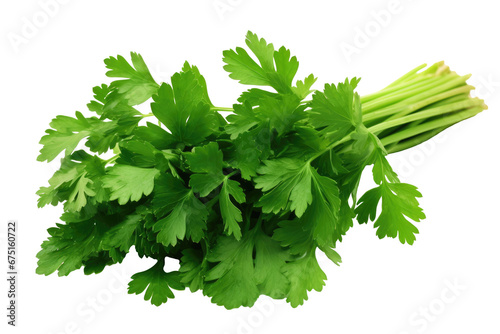 Green parsley on transparent background, png photo
