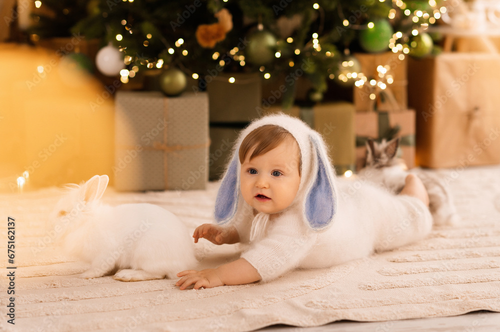 little child with a rabbit, the child plays with a bunny on the background of the Christmas tree