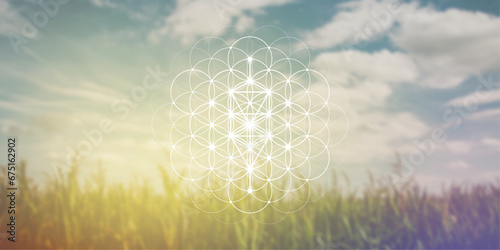 Flower of life. Tree of life. Sacred geometry spiritual new age futuristic illustration with transmutation interlocking circles, triangles and glowing particles