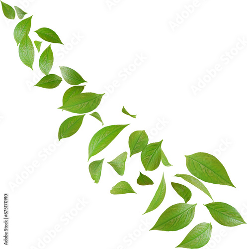 green tea leaves in motion