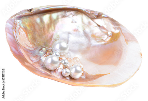 Pearl shell isolated on white