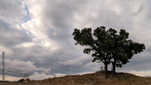 TIME LAPSE DE NUBES EVOLUCIONANDO SOBRE UN ARBOL SOLITARIO 