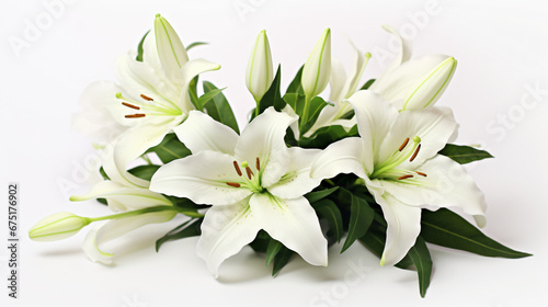 Beautiful white easter lily flower bouquet isolated on white background © khan