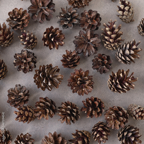 Brown pine cones flat lay on neutral taupe background with soft shadows. Aesthetic natural winter texture for social media blog or business branding design, minimalist rustic Christmas backdrop