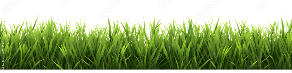 Green grass border set isolated on transparent background. Green grass border set isolated on transparent background.