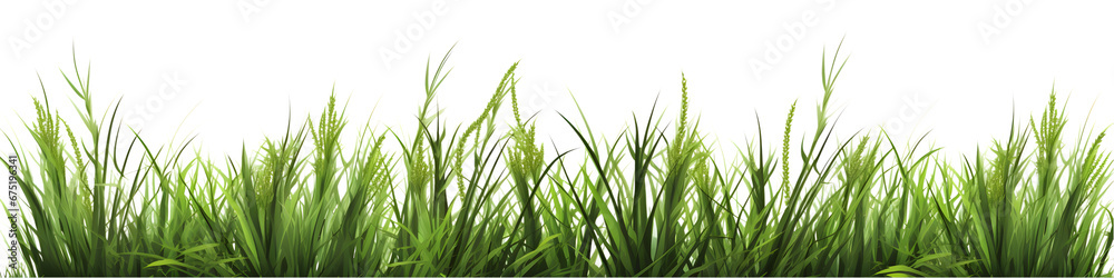 Obraz premium Green grass border set isolated on transparent background. 