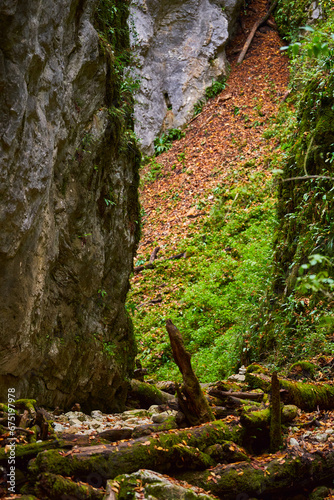 Canyon in the limestone mountains