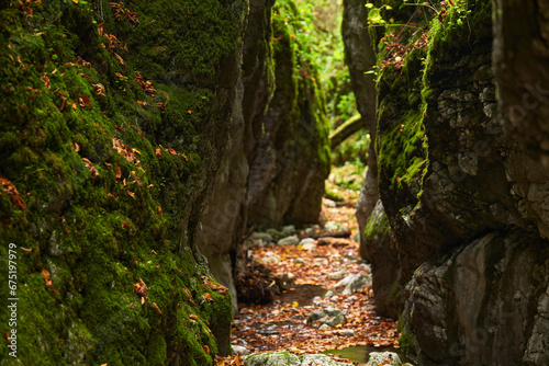 Canyon in the limestone mountains