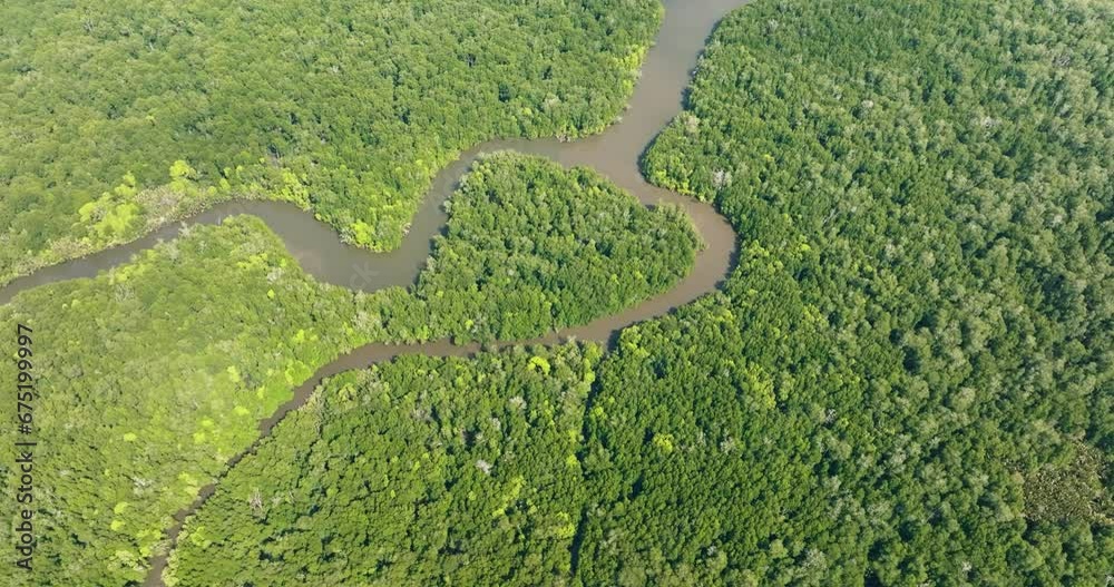 Aerial view of mangroves and rainforest on the island of Borneo. Malaysia. Aerial view of mangroves and rainforest on the island of Borneo. Malaysia.