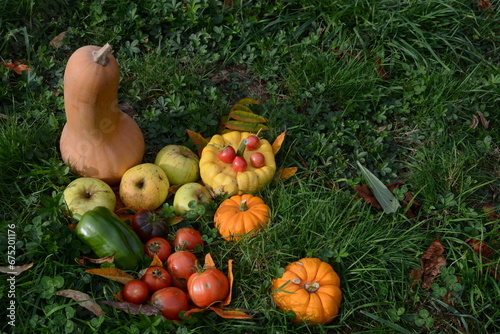 courges et fruits d'automne  photo