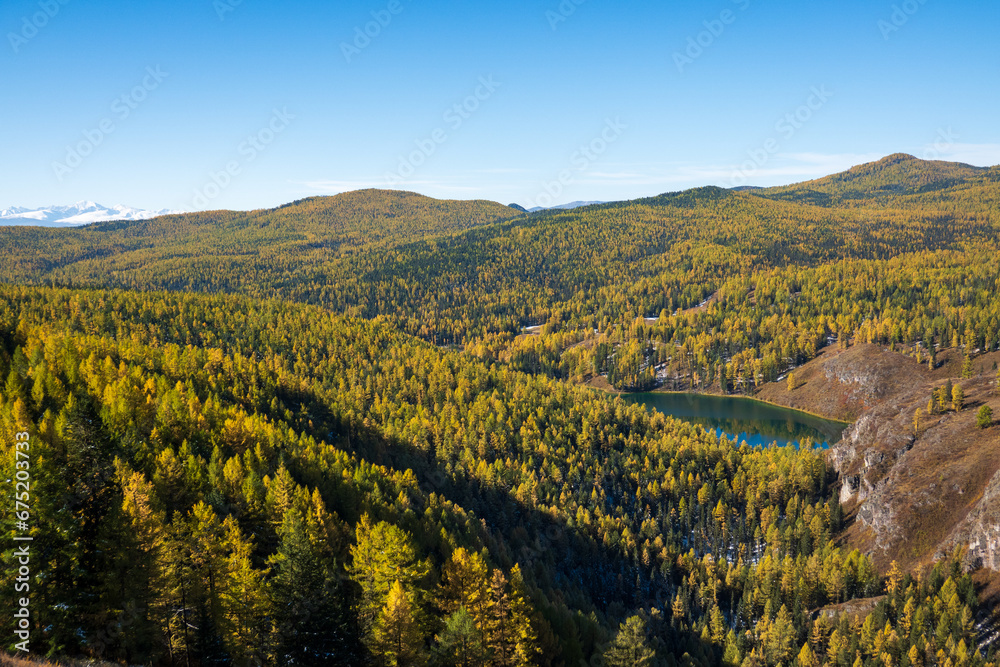 Naklejka premium Picturesque aerial drone view of lush green landscape with mountain lake against blue sky at Altai, Russia