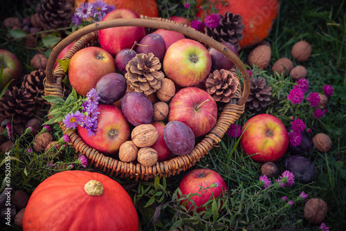basket autumn fruits seen above