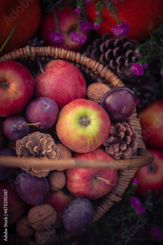basket autumn fruits seen above