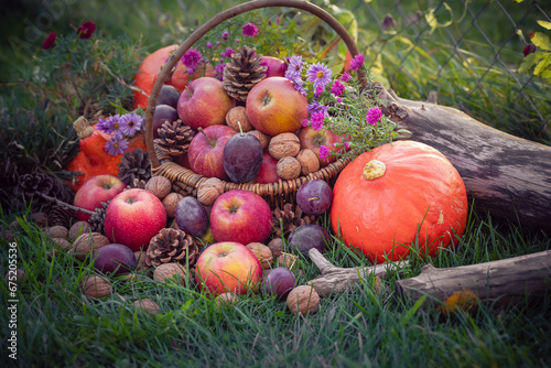 Gifts autumn fruits basket sunny day
