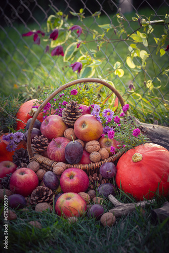 Gifts autumn fruits basket sunny day