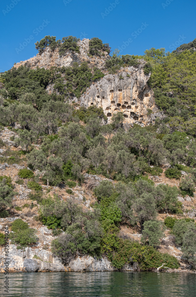 ancient rock tombs in the forest area. gocek, mugla, turkey
