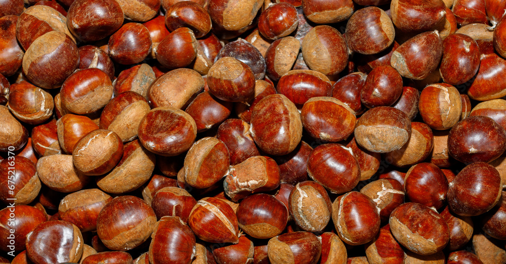 Alba, Piedmont, Italy - November 4, 2023: Chestnuts for sale during the Saturday market. Alba, Piedmont, Italy - November 4, 2023: Chestnuts for sale during the Saturday market.