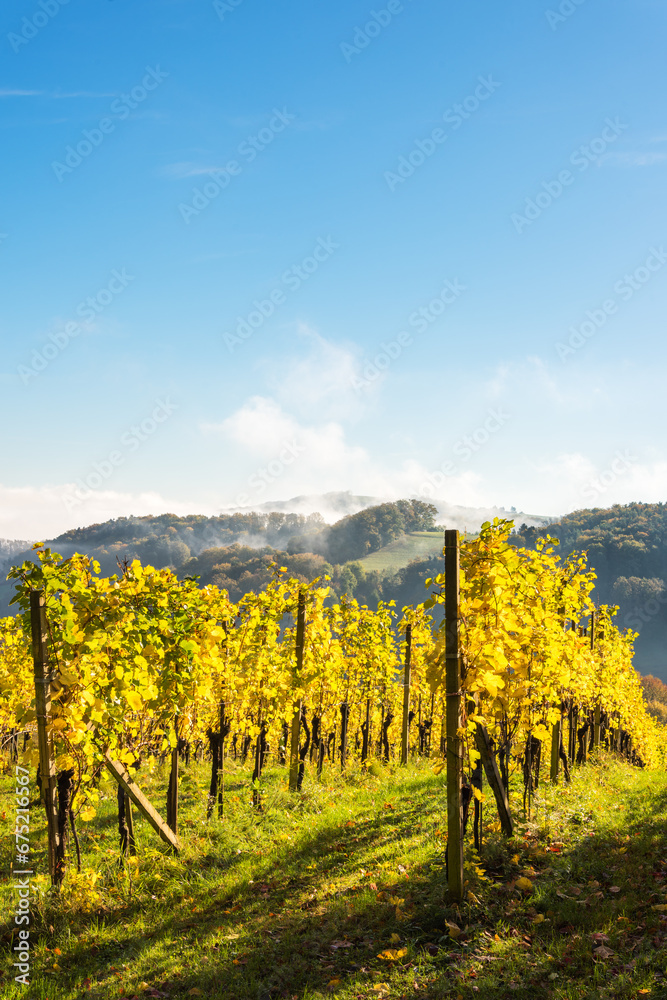 Fototapeta premium Wine country in autumn, Austria
