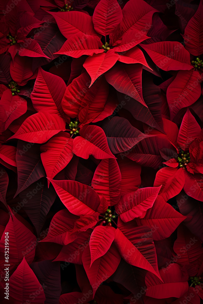Abstract background with red Poinsettia leaves. Vertical composition.